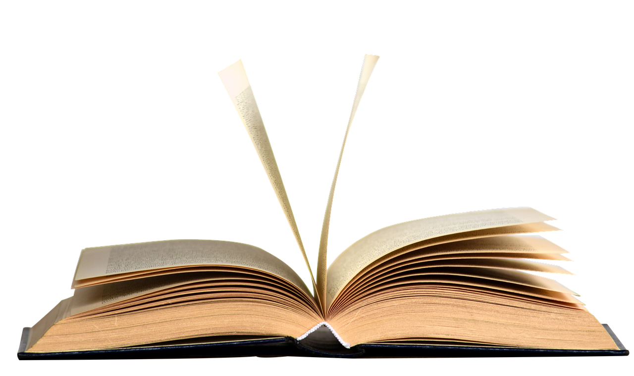 Çingiz Xanın doğruları